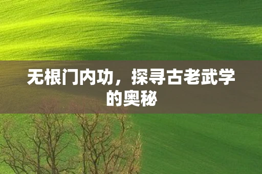 无根门内功,探寻古老武学的奥秘 无根门内功,探寻古老武学的奥秘