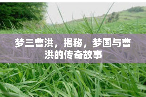 梦三曹洪,揭秘,梦国与曹洪的传奇故事 梦三曹洪,揭秘,梦国与曹洪的传奇故事