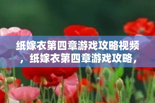 纸嫁衣第四章游戏攻略视频，纸嫁衣第四章游戏攻略，解锁谜题，探寻真相