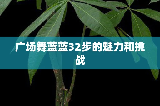 广场舞蓝蓝32步的魅力和挑战 广场舞蓝蓝32步的魅力和挑战