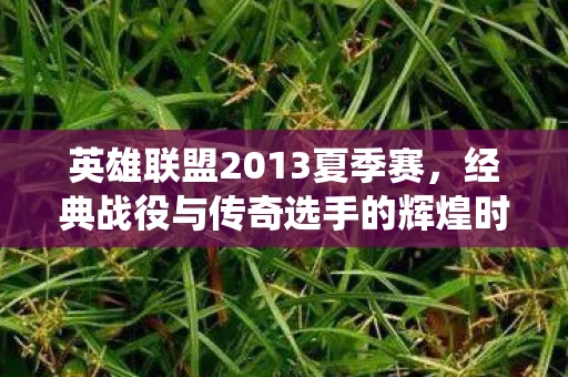 英雄联盟2013夏季赛,经典战役与传奇选手的辉煌时刻 英雄联盟2013夏季赛,经典战役与传奇选手的辉煌时刻