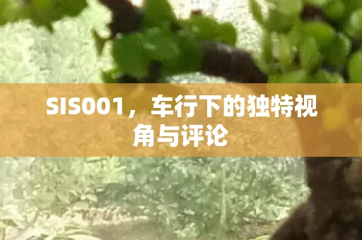 SIS001，车行下的独特视角与评论