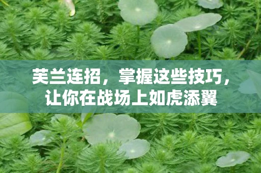 芙兰连招,掌握这些技巧,让你在战场上如虎添翼 芙兰连招,掌握这些技巧,让你在战场上如虎添翼