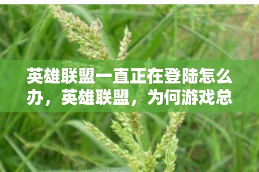 英雄联盟一直正在登陆怎么办,英雄联盟,为何游戏总是一直正在登陆? 英雄联盟一直正在登陆怎么办,英雄联盟,为何游戏总是一直正在登陆?