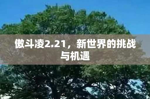 傲斗凌2.21，新世界的挑战与机遇