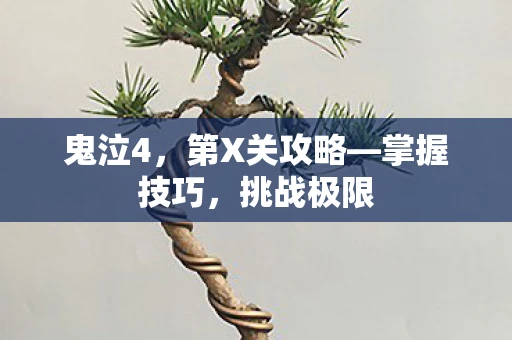 鬼泣4，第X关攻略—掌握技巧，挑战极限