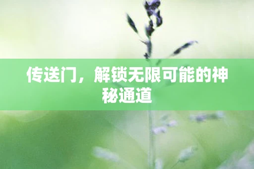 传送门，解锁无限可能的神秘通道