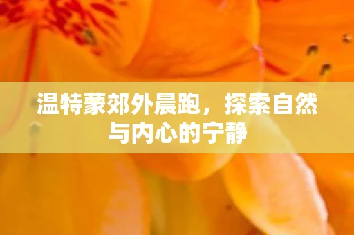 温特蒙郊外晨跑，探索自然与内心的宁静