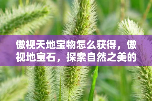 傲视天地宝物怎么获得,傲视地宝石,探索自然之美的奇迹 傲视天地宝物怎么获得,傲视地宝石,探索自然之美的奇迹