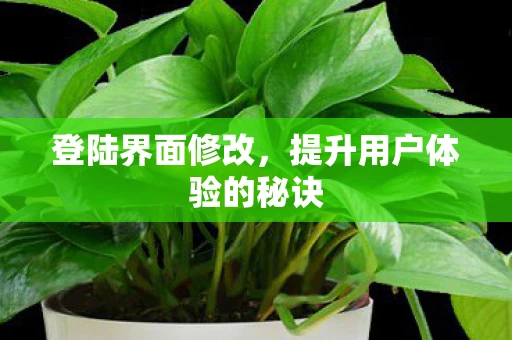 登陆界面修改，提升用户体验的秘诀