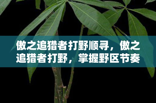 傲之追猎者打野顺寻，傲之追猎者打野，掌握野区节奏的艺术