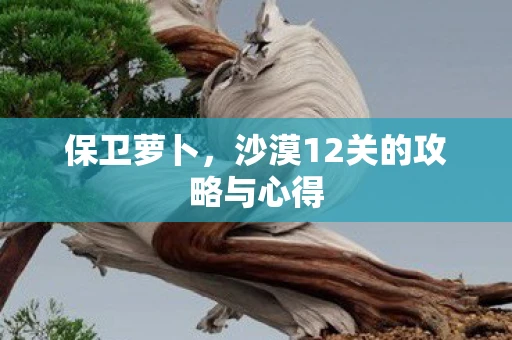 保卫萝卜，沙漠12关的攻略与心得