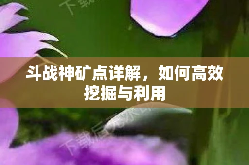 斗战神矿点详解，如何高效挖掘与利用