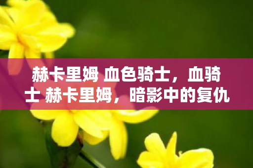 赫卡里姆 血色骑士，血骑士 赫卡里姆，暗影中的复仇者