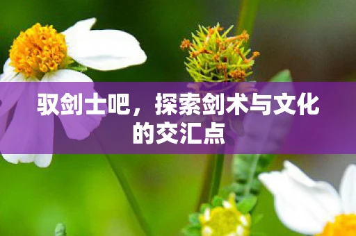 驭剑士吧，探索剑术与文化的交汇点