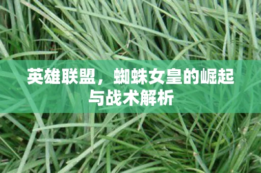 英雄联盟,蜘蛛女皇的崛起与战术解析 英雄联盟,蜘蛛女皇的崛起与战术解析