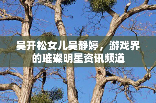 游戏界的璀璨明星资讯频道图片