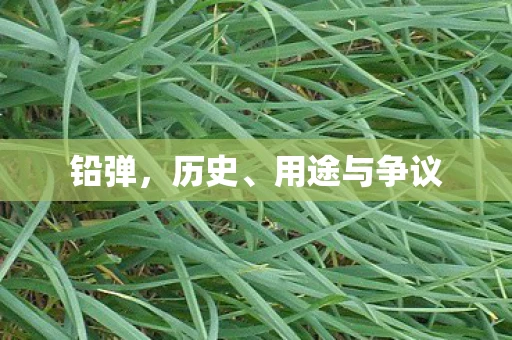 铅弹，历史、用途与争议