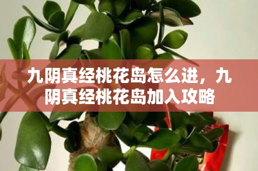 九阴真经桃花岛怎么进，九阴真经桃花岛加入攻略