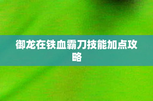 御龙在铁血霸刀技能加点攻略