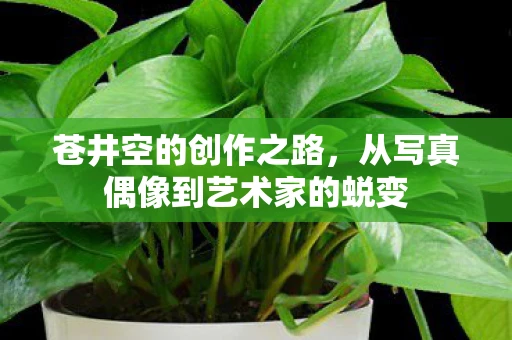 苍井空的创作之路，从写真偶像到艺术家的蜕变