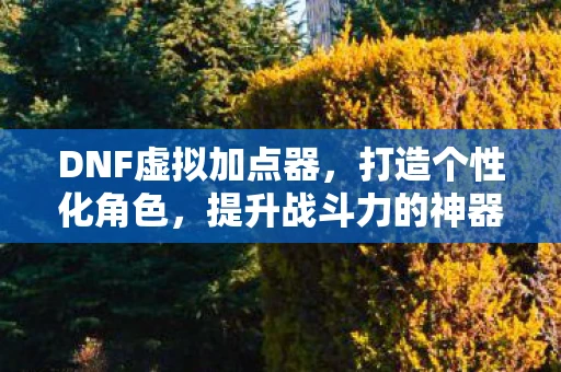 DNF虚拟加点器，打造个性化角色，提升战斗力的神器