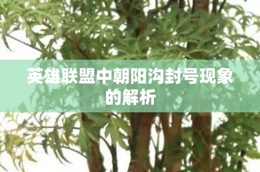 英雄联盟中朝阳沟封号现象的解析图片