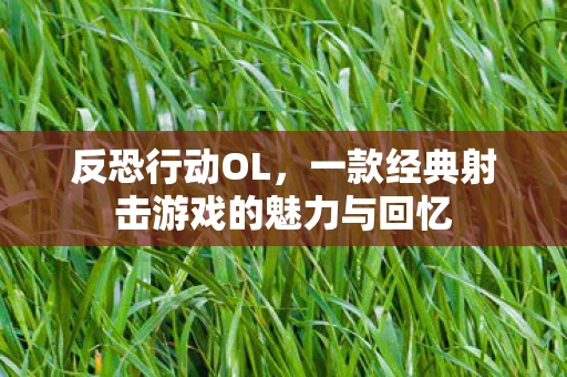 反恐行动OL，一款经典射击游戏的魅力与回忆