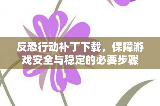反恐行动补丁下载，保障游戏安全与稳定的必要步骤