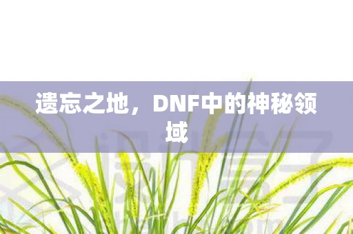 遗忘之地，DNF中的神秘领域