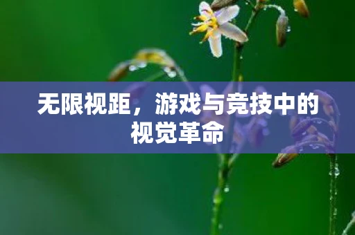 无限视距，游戏与竞技中的视觉革命
