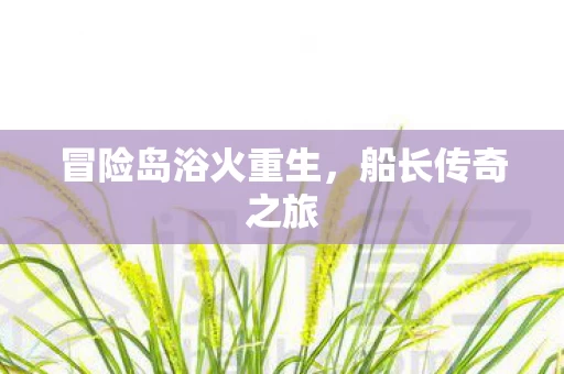 冒险岛浴火重生图片