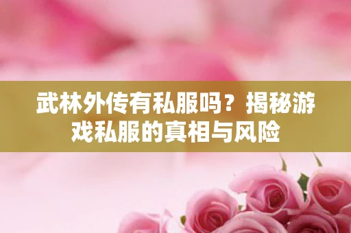 武林外传有私服吗？揭秘游戏私服的真相与风险