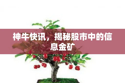 神牛快讯，揭秘股市中的信息金矿