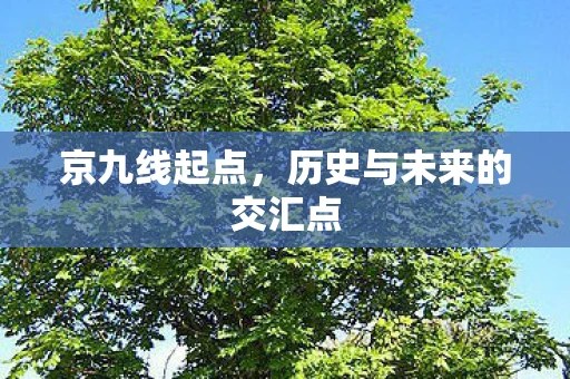 京九线起点，历史与未来的交汇点