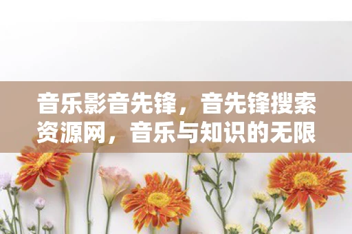 音乐影音先锋，音先锋搜索资源网，音乐与知识的无限探索