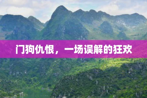 门狗仇恨，一场误解的狂欢