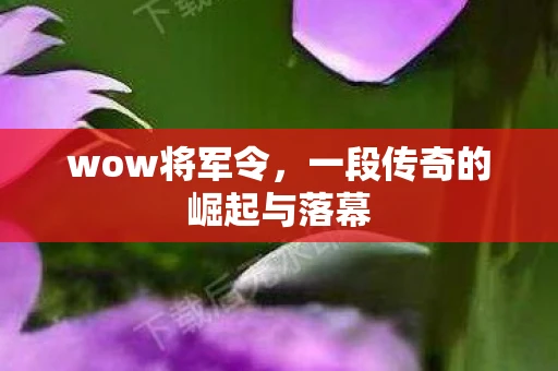 wow将军令，一段传奇的崛起与落幕