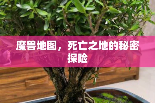 魔兽地图，死亡之地的秘密探险