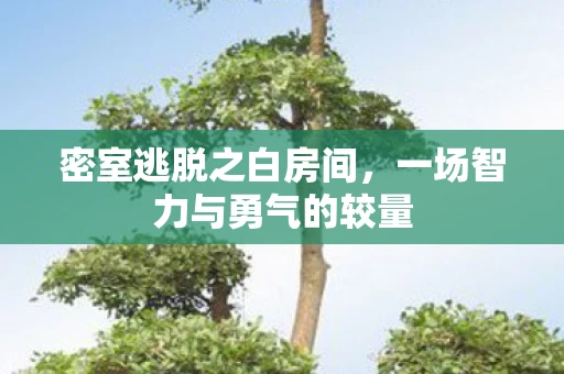 密室逃脱之白房间，一场智力与勇气的较量