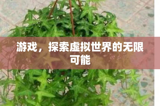 游戏，探索虚拟世界的无限可能