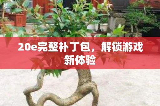 20e完整补丁包，解锁游戏新体验
