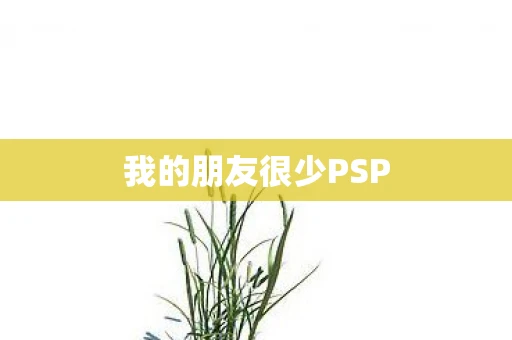 我的朋友很少PSP