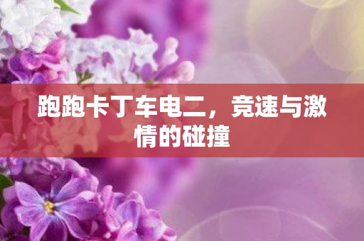 跑跑卡丁车电二，竞速与激情的碰撞
