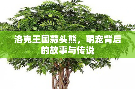 洛克王国蒜头熊，萌宠背后的故事与传说