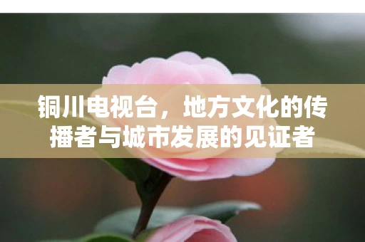 铜川电视台，地方文化的传播者与城市发展的见证者