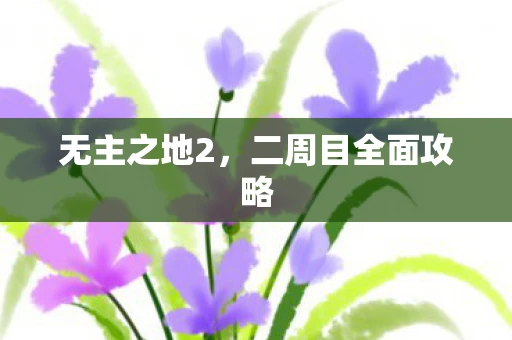 无主之地2，二周目全面攻略