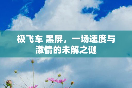 极飞车 黑屏，一场速度与激情的未解之谜