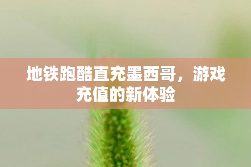 地铁跑酷直充墨西哥图片