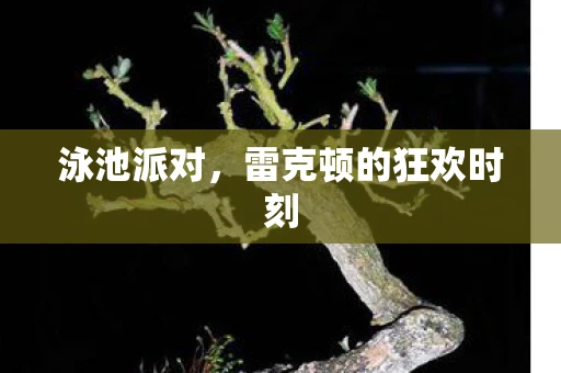 泳池派对，雷克顿的狂欢时刻
